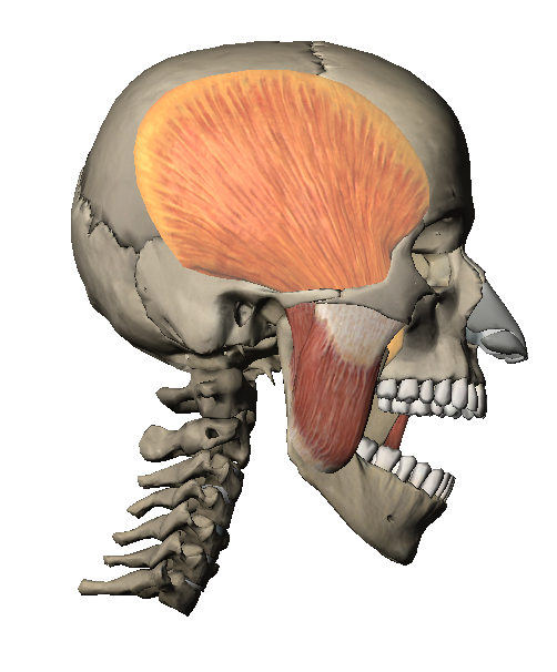 5a776853c81bbbb1d87d47ae75b7d857_1478661310_8432.png