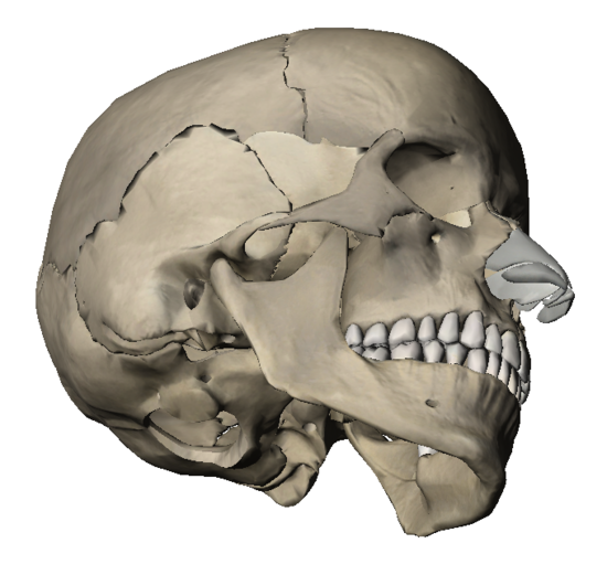 5a776853c81bbbb1d87d47ae75b7d857_1478661311_2412.png